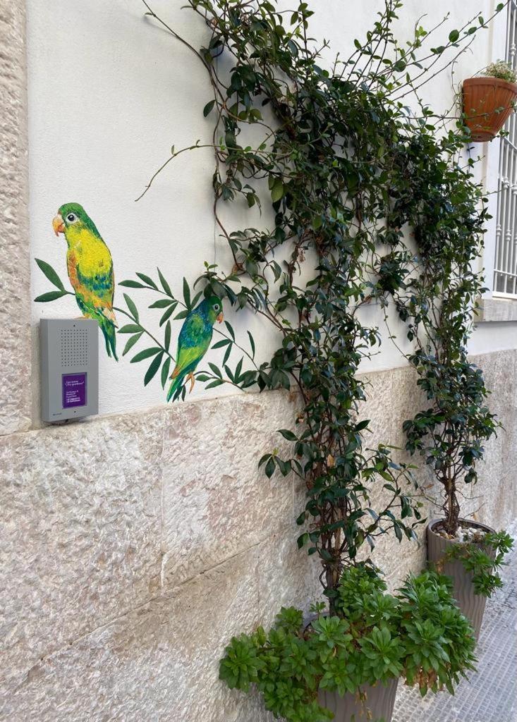 Iris Apartment Bisceglie Buitenkant foto